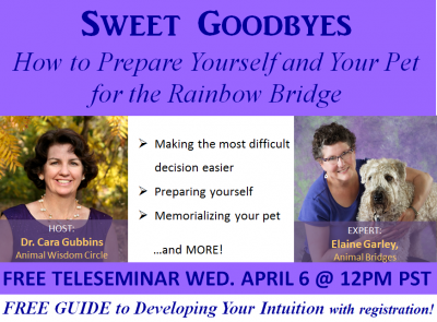 Elaine Garley of Animal Bridges being interviewed by Dr. Cara Grubbins on "Preparing for Pet Death."