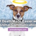 Pet death made easier with animal communications.