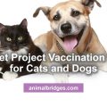 The Pet Project Vaccination Clinic