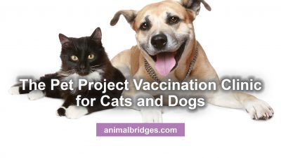 The Pet Project Vaccination Clinic