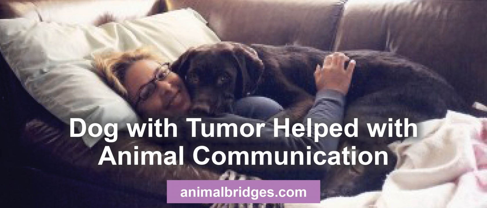 Dog with tumor helped with animal communication