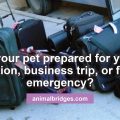 Is your pet prepared for your vacation