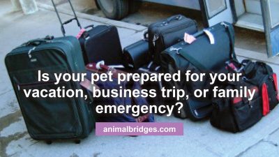 Is your pet prepared for your vacation