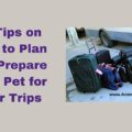 10 Tips on How to Plan and Prepare Your Pet for Your Trips