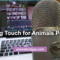 Healing touch for animals