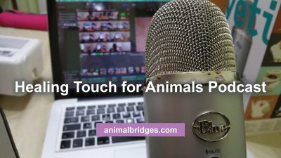 Healing touch for animals