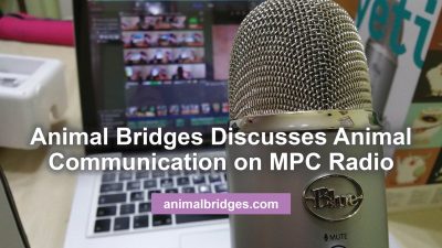 Animal communication MPC radio