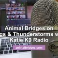 Dogs and thunderstorms animal communicator