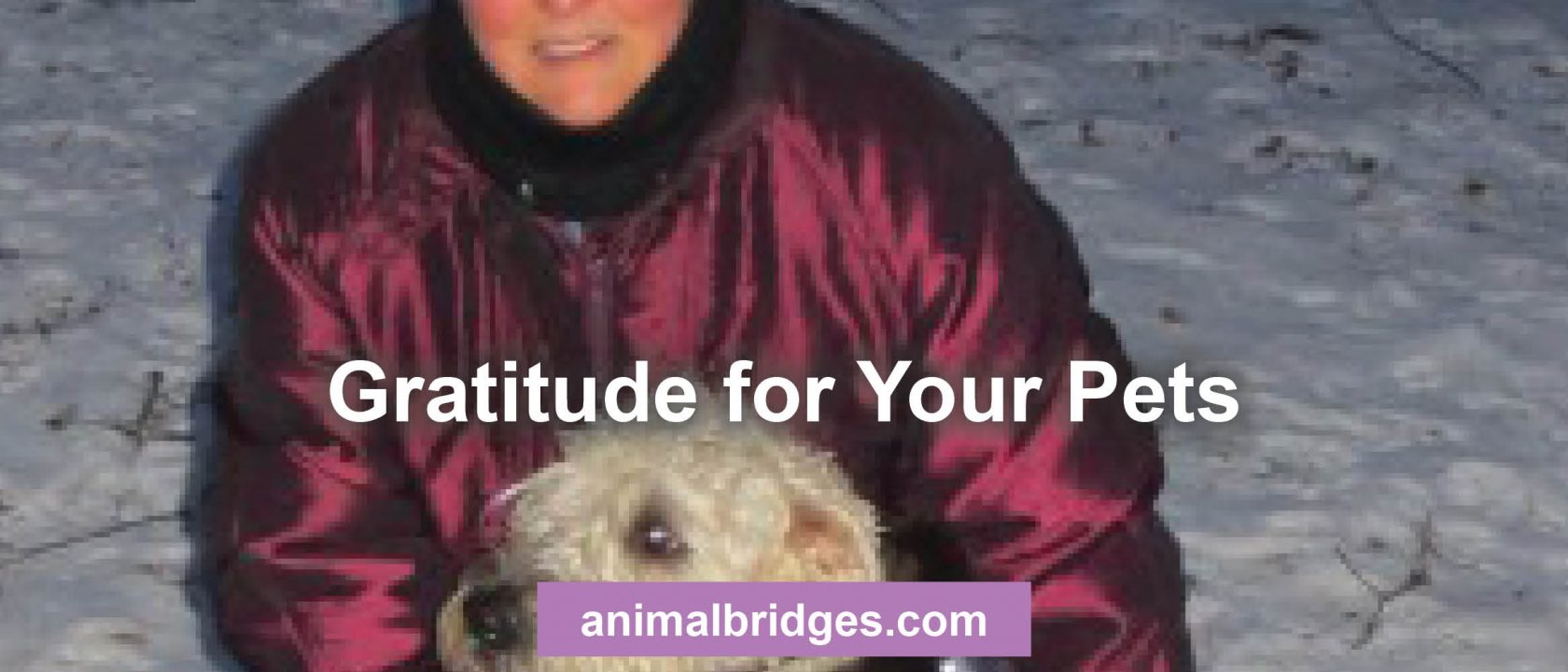 Gratitude for pets animal communicator