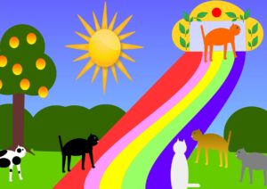 Rainbow bridge, pets death