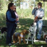 Elaine Answering Questions at Doggie Palooza