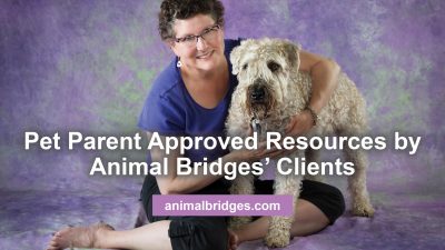 Animal communicator for pet parents