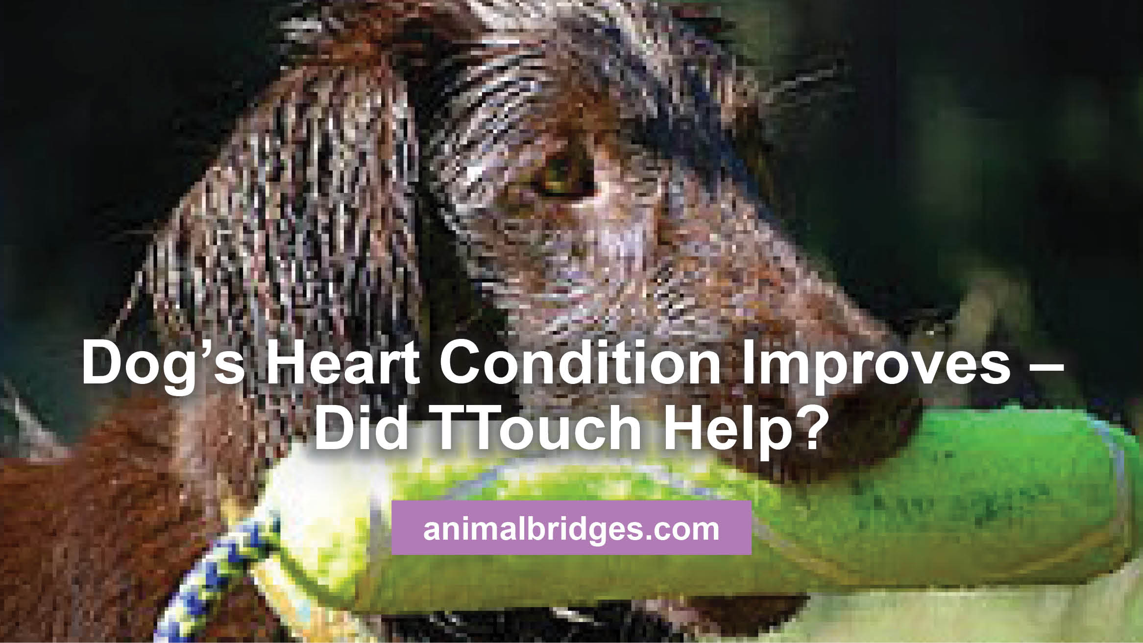 How To Talk To Kids About A Parent’s Heart Condition