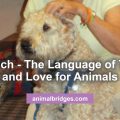 Animal Communicator Tellington TTouch