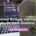 animal communicator interview