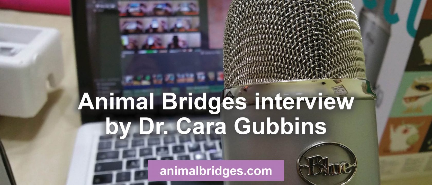 animal communicator interview