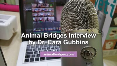 animal communicator interview