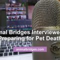 Preparing for pet death.