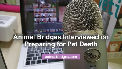 pet death rainbow bridge animal communicator