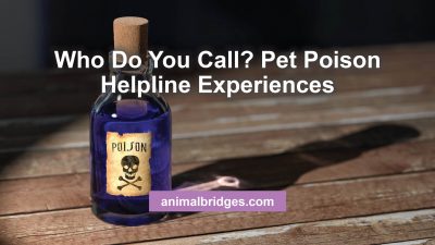 pet poison help animal communicator