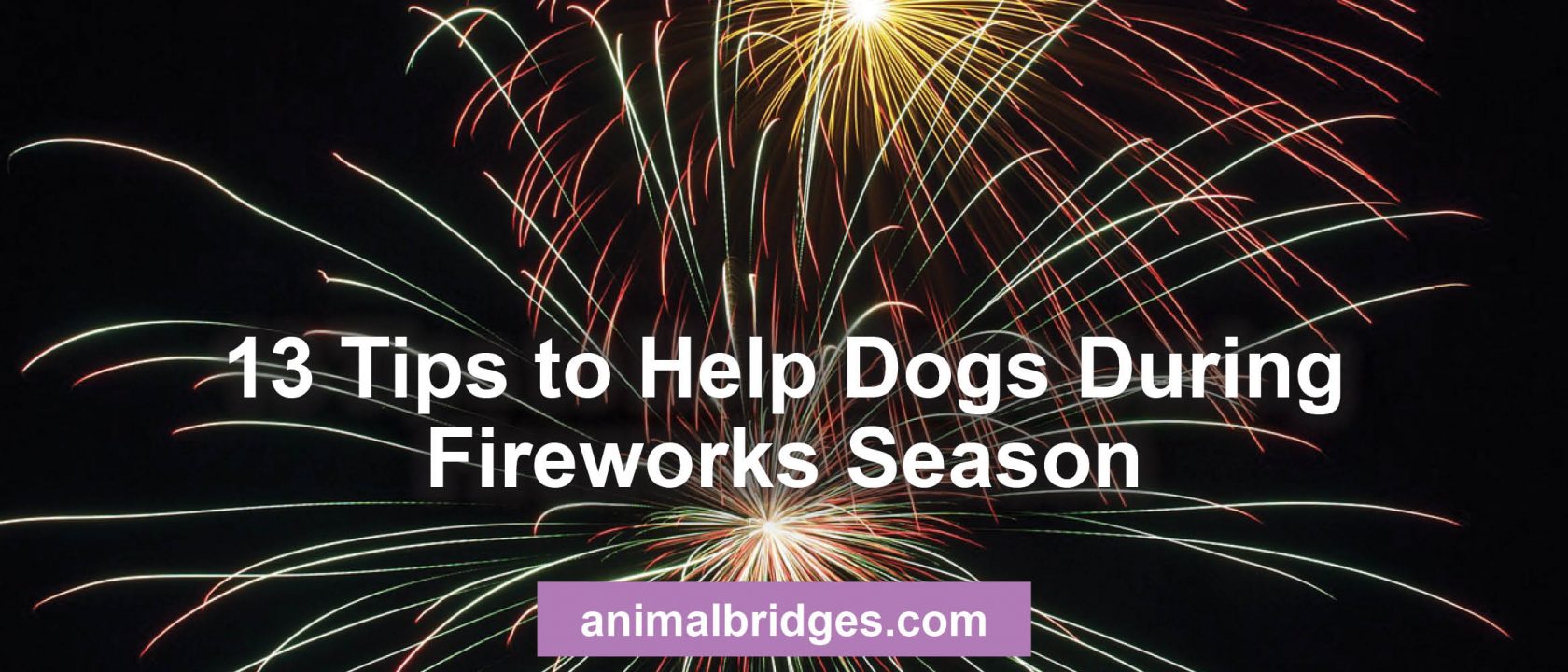 13 Tips to Help Dogs During Fireworks Season