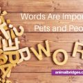 Words are important to pets and people