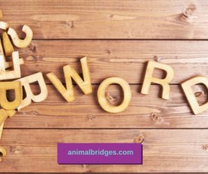 Yes words are important to pets and people