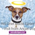 Pet grief and pet death made easier by visit by angel dog