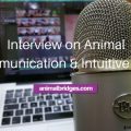 Interview on Animal Communication and Intuitive Gifts