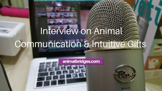 Interview on Animal Communication & Intuitive Gifts - Prescott, AZ Animal  Communicator | Animal & People Bridges