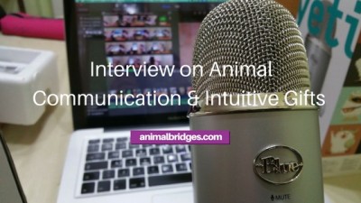 Interview on Animal Communication and Intuitive Gifts