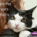 Pet New Year's Resolutions