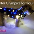 Winter Olympics for your pet