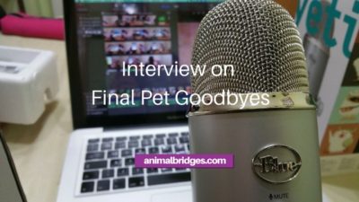 pet death animal communication
