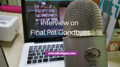 Final pet goodbyes pet death animal communicator