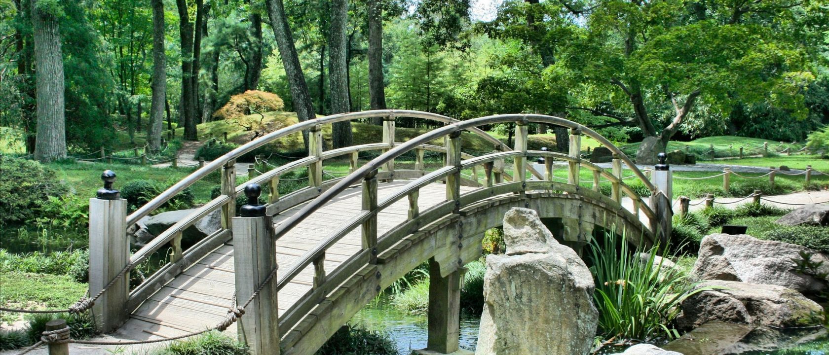 pet death crossing the rainbow bridge