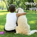 animal communicator pet behavior issues