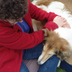 Healing Touch for Animals animal communicator