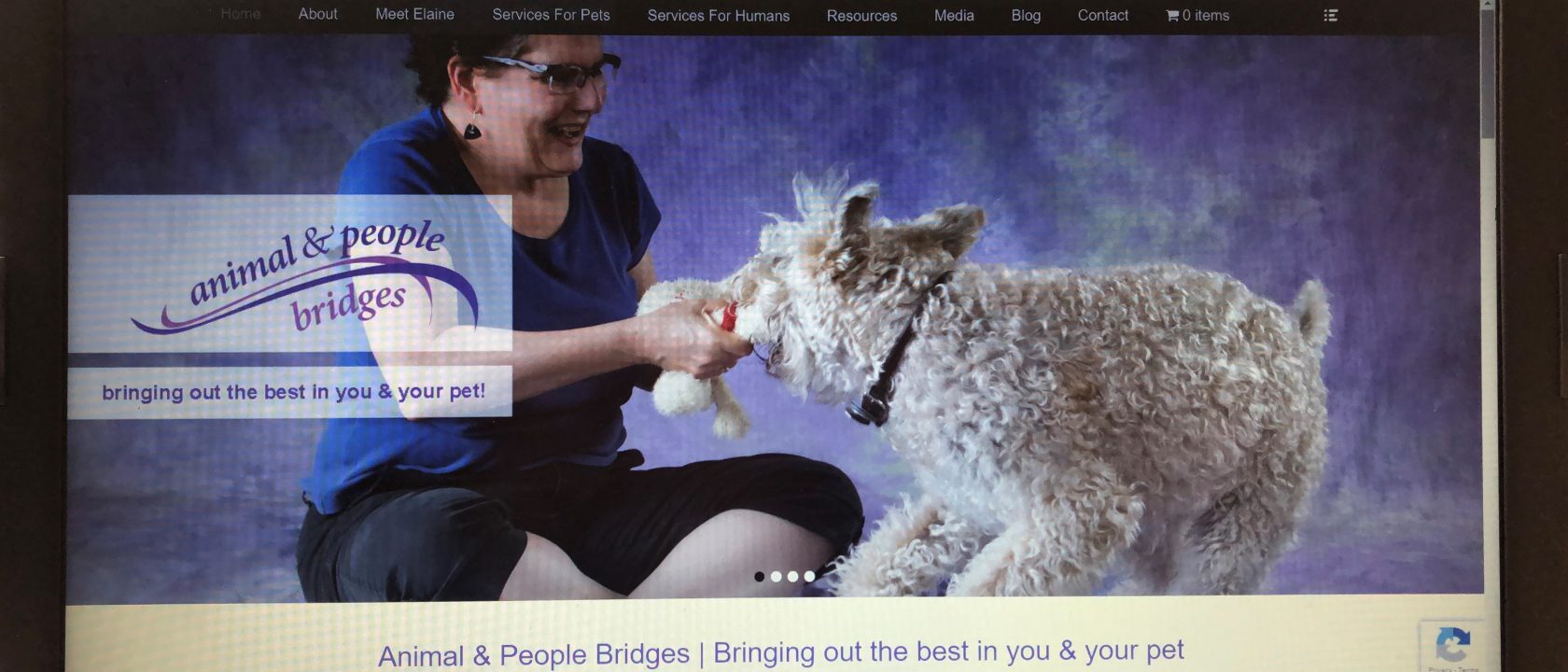 Animal Bridges helps people too!