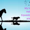 I’ll never forget the day I got a call from client about her equestrian accident. As she described the incident, I knew I’d talk with her dog and horse. I was sure they had stories to tell and were concerned. My intuition would help an equestrian