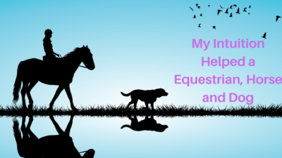 I’ll never forget the day I got a call from client about her equestrian accident. As she described the incident, I knew I’d talk with her dog and horse. I was sure they had stories to tell and were concerned. My intuition would help an equestrian