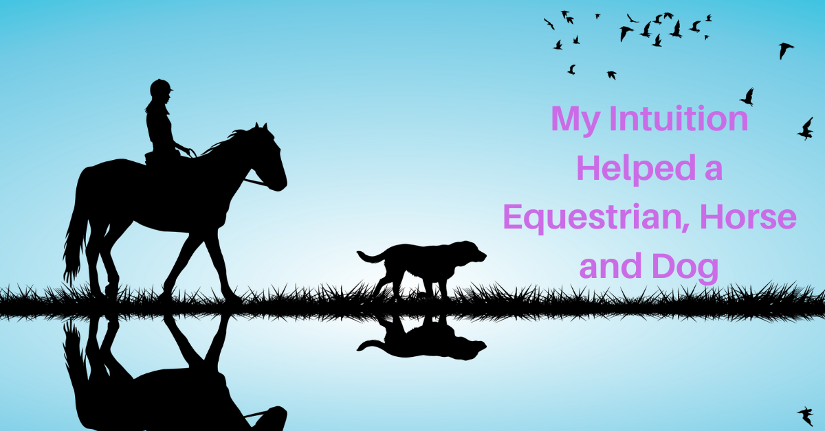 I’ll never forget the day I got a call from client about her equestrian accident. As she described the incident, I knew I’d talk with her dog and horse. I was sure they had stories to tell and were concerned. My intuition would help an equestrian