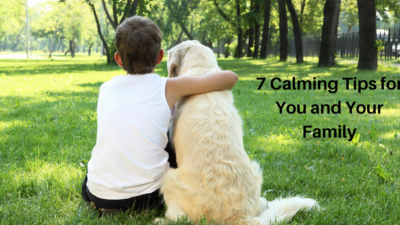 Boy and dog sitting on grass with back to the camera. 7 calming tips for you and your family.
