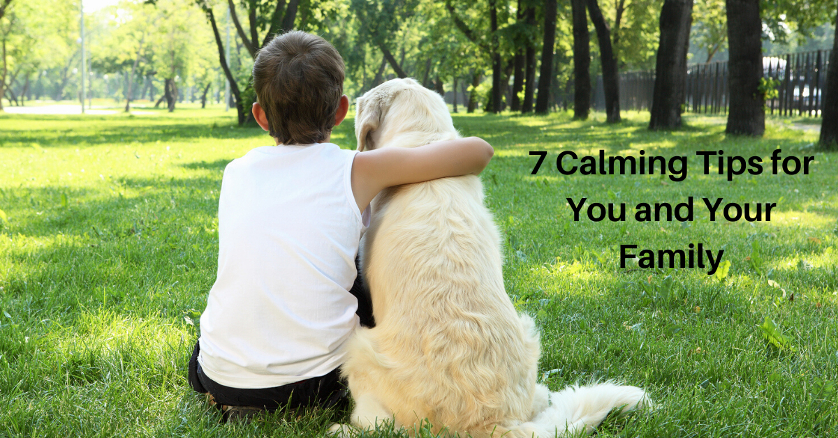 Boy and dog sitting on grass with back to the camera. 7 calming tips for you and your family.