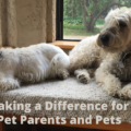 Animal Bridges LLC makes a difference for pet parents and pets with animal communication and energy work.
