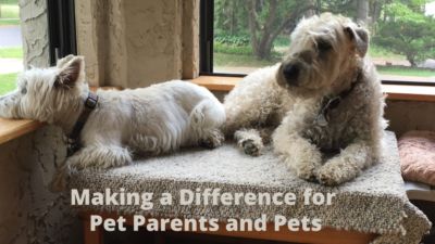 Animal Bridges LLC makes a difference for pet parents and pets with animal communication and energy work.