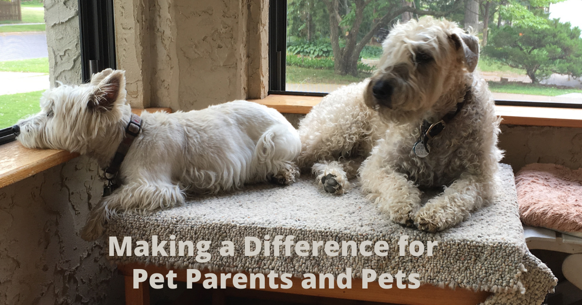Animal Bridges LLC makes a difference for pet parents and pets with animal communication and energy work.