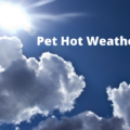 Hot Weather Pet Tips