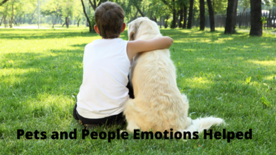 Pets and people emotions helped