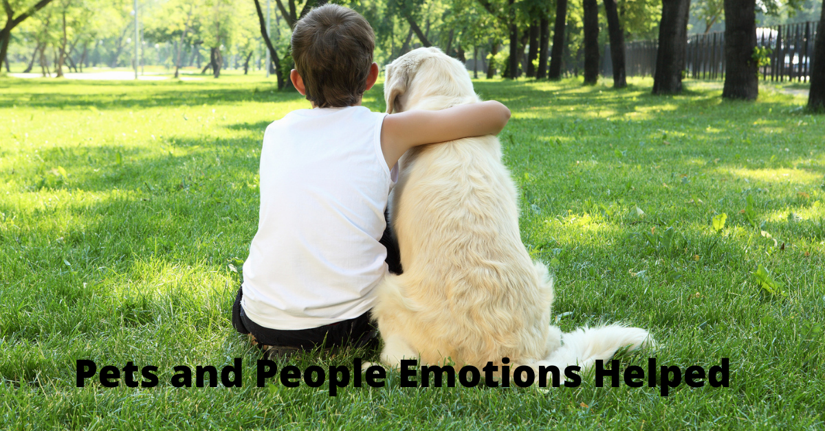 Pets and people emotions helped